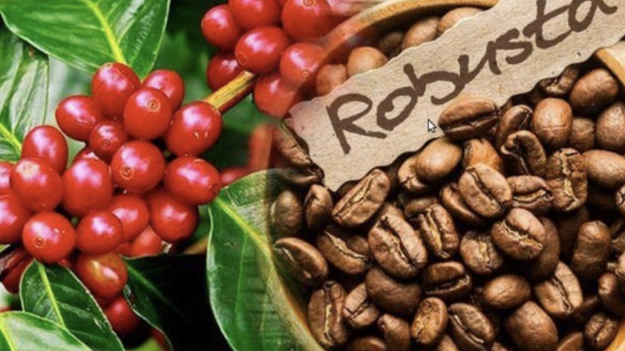 Vietnam’s coffee exports to Thailand surge in value despite volume decline